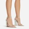 EGO Compass Ankle Strap Pointed Toe Block Heel In Silver Metallic Faux Leather