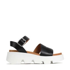 KAILA -EGO shop 3JA3gA3CG84EqnocXkPwryGTE 48102.1710933168