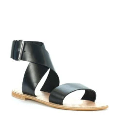 TRIUMPH -EGO shop 6Z zkduS1eiecPNRz6gDSbMw0 81562.1710158918