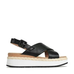 PAGE -EGO shop 6molQ4WomGPctD4LUdgWlTPvI 97419.1711106608