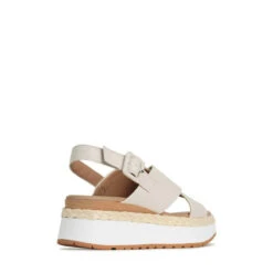 PAGE -EGO shop 9a6 vb92R1sUaqFbKjewYfJAQ 29570.1711106607