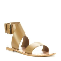 TRIUMPH -EGO shop KfDnF5tz0aStEjf8u M9Ct0r0 04282.1710158921