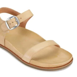 CAROUSEL -EGO shop PUCKW2648qhswnupGPejGaf7A 39891.1710938066