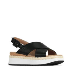 PAGE -EGO shop Y LL4SB3KdSWolYVd8eHeHPT4 56470.1711106608