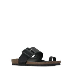 VEGA -EGO shop ZD6SsU4Jbk5aZDTDPZ6nMZJ7Y 02220.1710674786