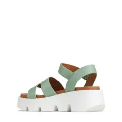 KAILA -EGO shop aOfh4eI0Dg3idobSubUZgSfM4 97809.1710933166