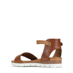 SODA -EGO shop ce9IZEeTjFDynOvOl0JOY AAo 69489.1711107748