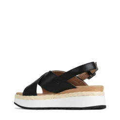 PAGE -EGO shop cyUSa52oR YdY8H1eI6hsZ2TY 67293.1711106609