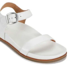 CAROUSEL -EGO shop eatuegZF4oDWnPNwHwPTkYcNc 53902.1710938063