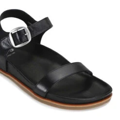 CAROUSEL -EGO shop jTNJnNZGOK7eruJ2dAmlaIUVo 86532.1710938061