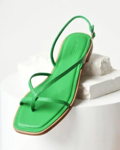 PHOEBE FLAT SANDALS EMERALD GREEN LEATHER -EGO shop kGSUpgzVVZ0O7UgzI1HeFO2DA 55226.1711106754
