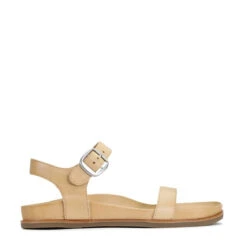 CAROUSEL -EGO shop lB6OUDyyGhNLJ9hWDQPxoyrQo 19789.1710938066