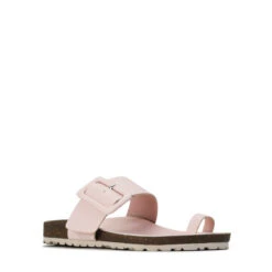 VEGA -EGO shop nSVEf7wSN2YwE03lLCw4mM Jc 70331.1710674788