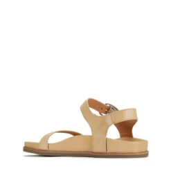 CAROUSEL -EGO shop sLSA 8ApSY BqzH913fvYOizY 82673.1710938067